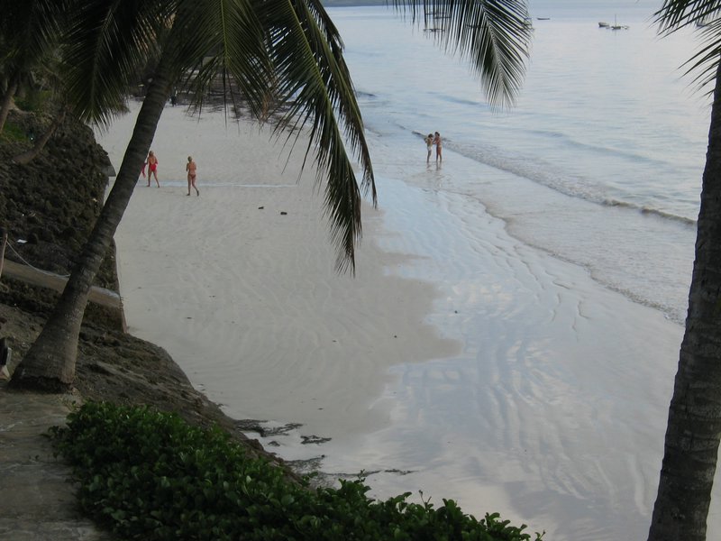20051119_05.JPG