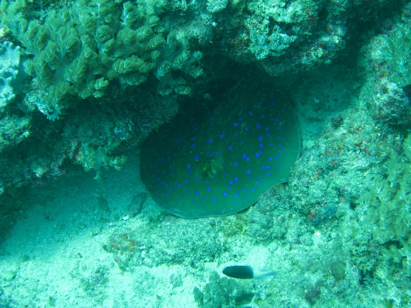 20051121_04.JPG