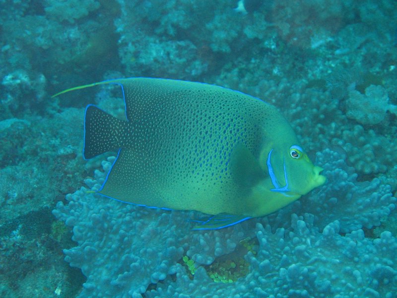 20051122_01.JPG