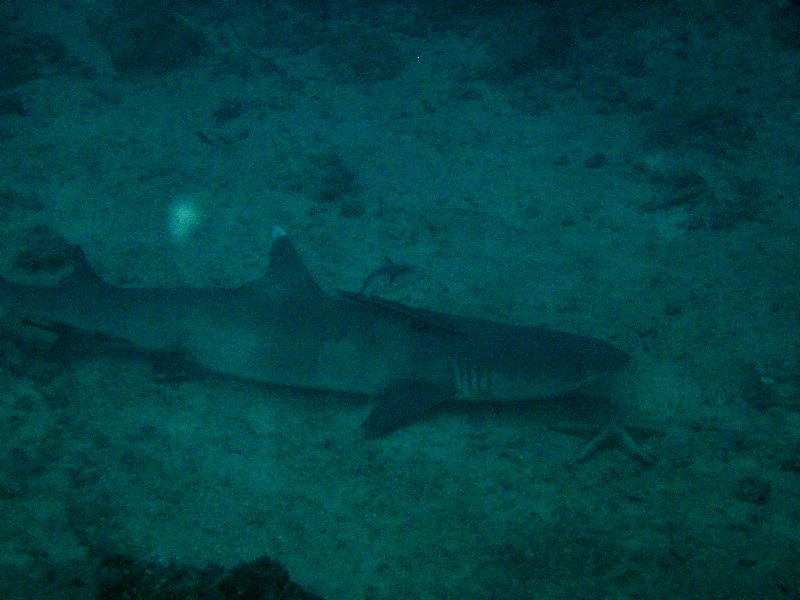 20051122_21.JPG