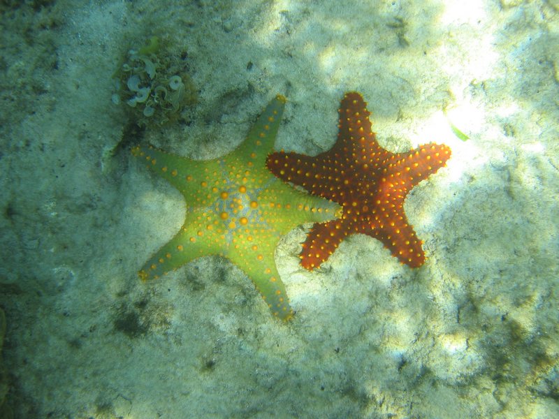 20051122_49.JPG
