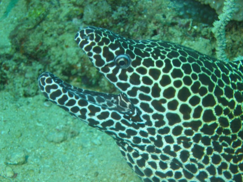 20051124_21.JPG