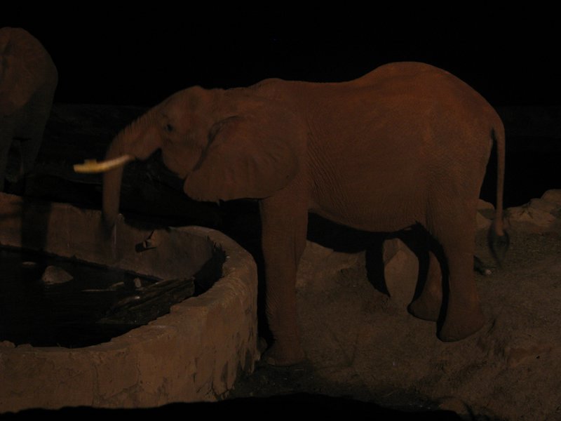 20051126_42.JPG