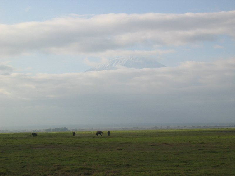 20051128_18.JPG