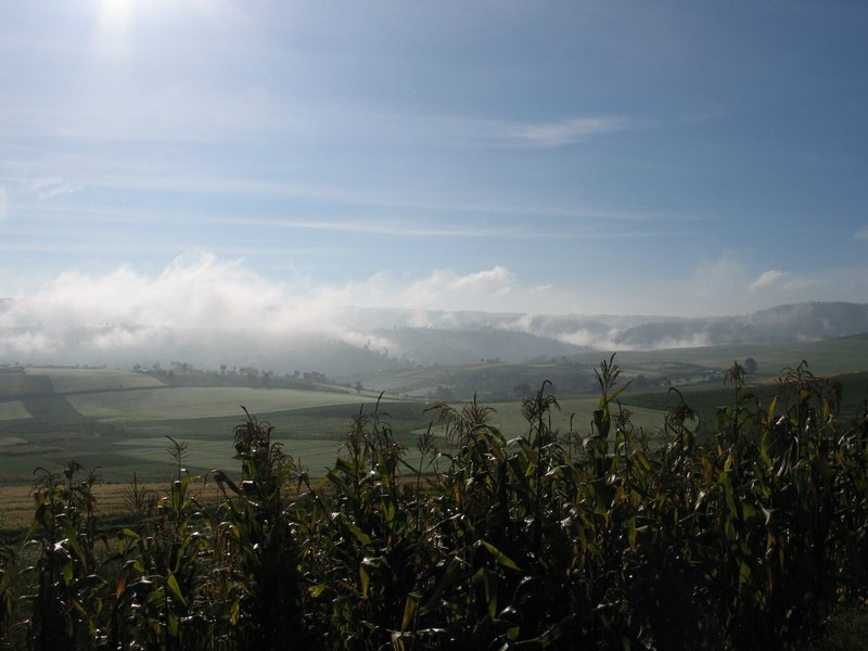 20051130_04.JPG