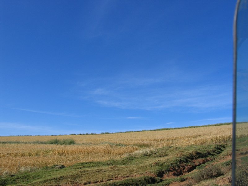 20051130_06.JPG