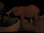 20051126_42.JPG