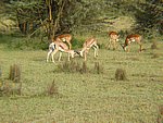20051129_40.JPG