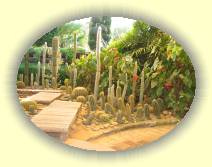 IMG_4426 * 2272 x 1704 * (1.62MB)