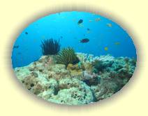 IMG_4859 * 2272 x 1704 * (1.26MB)