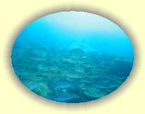 IMG_5052 * 2272 x 1704 * (818KB)