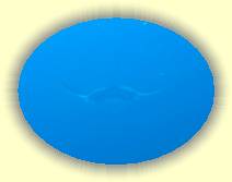 IMG_5070 * 1017 x 763 * (358KB)