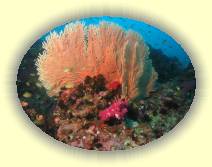 IMG_5320 * 2272 x 1704 * (1.23MB)