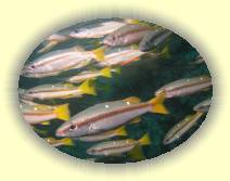 IMG_5338 * 2272 x 1704 * (982KB)