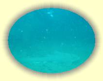 IMG_5471 * 1600 x 1200 * (774KB)