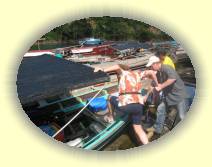 IMG_5533 * 2272 x 1704 * (1.32MB)