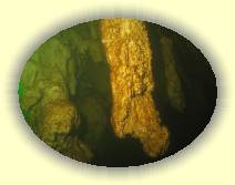 IMG_5579 * 2272 x 1704 * (1.16MB)