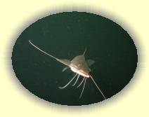 IMG_5644 * 2272 x 1704 * (859KB)