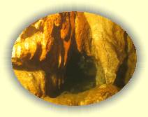 IMG_5655 * 2272 x 1704 * (1.42MB)