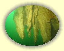 IMG_5684 * 2272 x 1704 * (950KB)