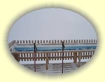 IMG_8181 * 2592 x 1944 * (1.88MB)