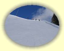 IMG_8192 * 2592 x 1944 * (1.78MB)