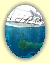 IMG_3540 * 605 x 800 * (77KB)