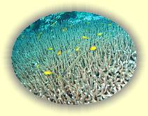 20081111_IMG_0026 * 20081111_IMG_0026 * 2458 x 1844 * (5.16MB)