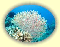 20081111_IMG_0080 * 20081111_IMG_0080 * 2786 x 2090 * (5.94MB)