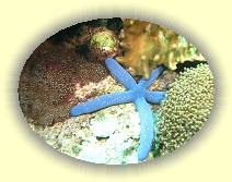 20081111_IMG_0116 * 20081111_IMG_0116 * 2602 x 1952 * (4.45MB)