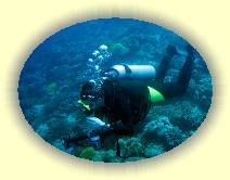 20081111_IMG_4572 * 20081111_IMG_4572 * 2379 x 1783 * (3.14MB)