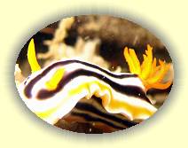 20081112_IMG_0140 * 20081112_IMG_0140 * 1226 x 920 * (522KB)