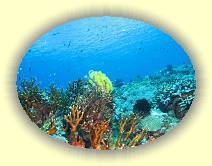 20081118_IMG_0037 * 20081118_IMG_0037 * 2807 x 2105 * (5.55MB)