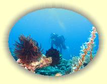 20081118_IMG_0157 * 20081118_IMG_0157 * 2458 x 1844 * (3.57MB)