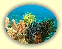 20081120_Img_0001 * 20081120_Img_0001 * 2528 x 1896 * (4.42MB)