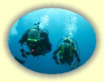 20081122_IMG_0053 * 20081122_IMG_0053 * 2736 x 2052 * (3.92MB)