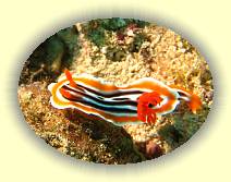 20081123_IMG_0316 * 20081123_IMG_0316 * 1684 x 1264 * (1.56MB)