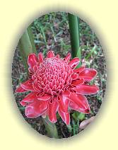 20081123_IMG_4733 * 20081123_IMG_4733 * 2304 x 3072 * (3.69MB)