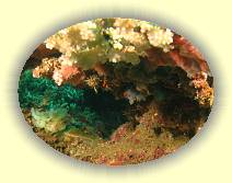 20081126_IMG_0119 * 20081126_IMG_0119 * 1321 x 991 * (1.28MB)