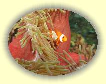 20081126_IMG_0185 * 20081126_IMG_0185 * 640 x 480 * (58KB)