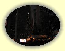 20081129_IMG_0217 * 20081129_IMG_0217 * 3072 x 2304 * (2.87MB)