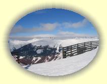 IMG_7983 * 2592 x 1944 * (2.17MB)