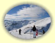 IMG_7988 * 2592 x 1944 * (2.17MB)