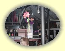 IMG_8077 * 2592 x 1944 * (2.62MB)