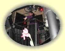 IMG_8089 * 2592 x 1944 * (1.08MB)