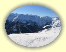 IMG_8130 * 2592 x 1944 * (2.33MB)