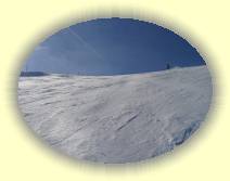 IMG_8146 * 2592 x 1944 * (2.7MB)