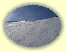 IMG_8147 * 2592 x 1944 * (2.77MB)