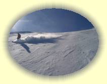 IMG_8148 * 2592 x 1944 * (2.78MB)