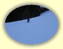 IMG_8151 * 2592 x 1944 * (1.64MB)